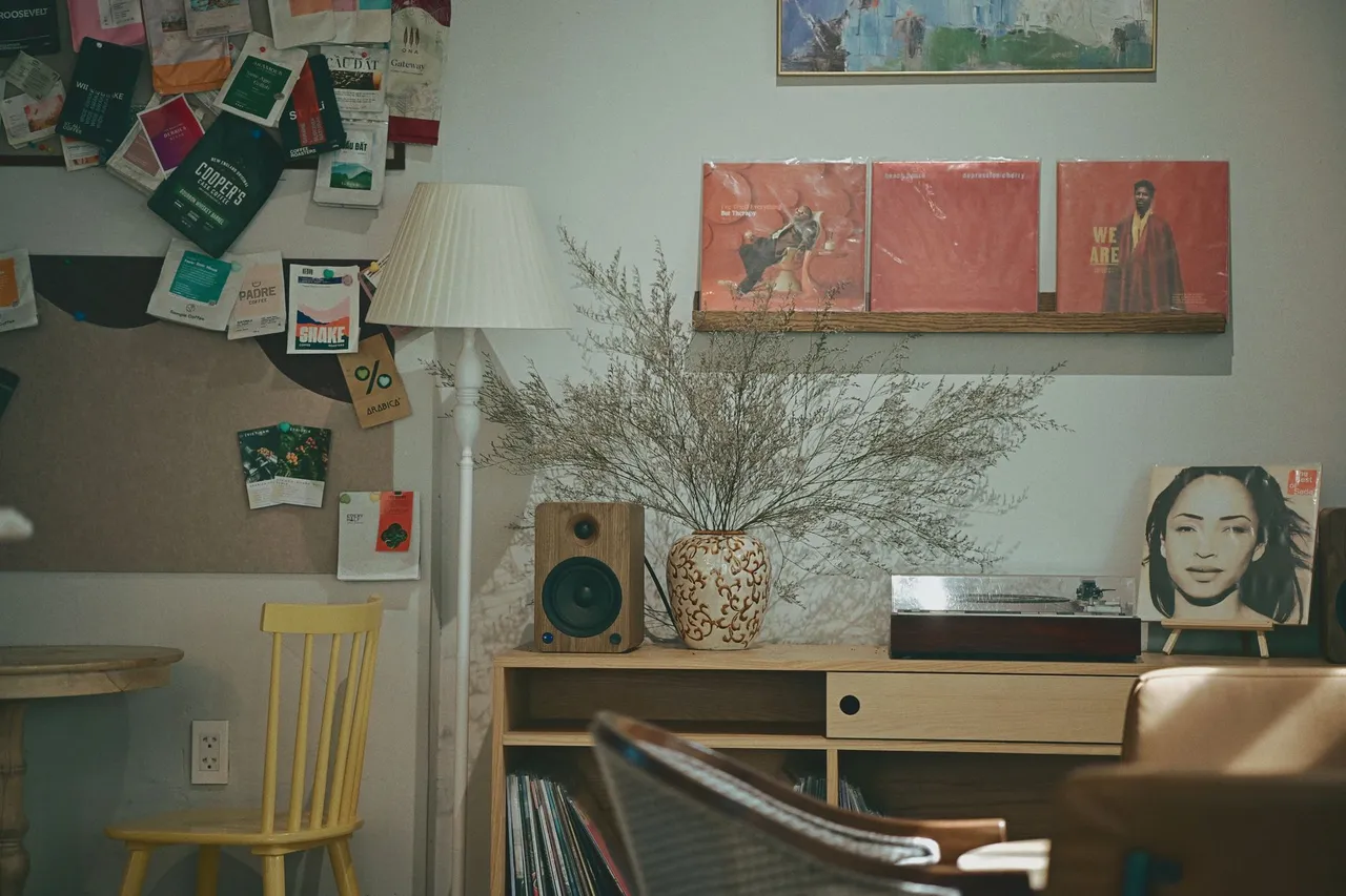 Enceintes hi-fi dans un salon